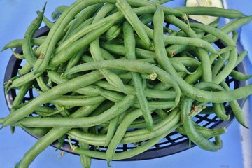 Fresh picked green beans in bulk at a farmers market
