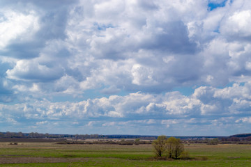 Fototapeta na wymiar Massive cumulus white clouds in a blue sky over a green plain.