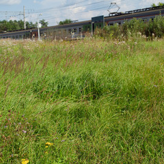 train arriving on the railway station