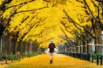 Foto op Plexiglas Woman traveler with backpack walking in Row of yellow ginkgo tree in autumn. Autumn park in Tokyo, Japan. © tawatchai1990