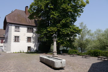 Kater Hiddigeigei Alter Hof Bad Säckingen