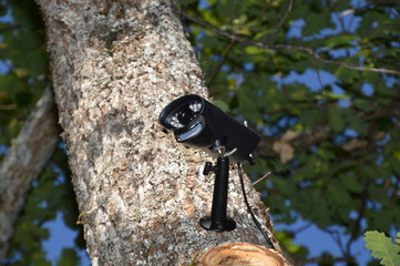 Closeup on a video surveillance camera in the forest