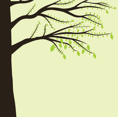green Tree leaf vector