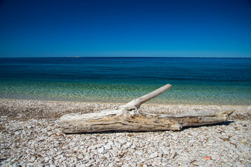 Fototapeta premium Driftwood log on sea coast. Sunny summer day. Croatia sea coast.
