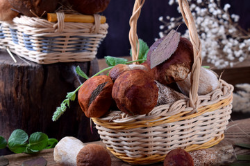 Forest mushrooms in wicker baskets and wild flowers against the dark background