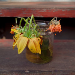 autumn faded flowers in a ja