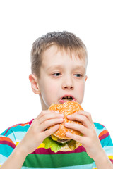 boy 10 years old and harmful but tasty food hamburger