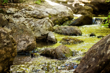 Naklejka na ściany i meble Mountain stream flowing between huge stones covered with moss 