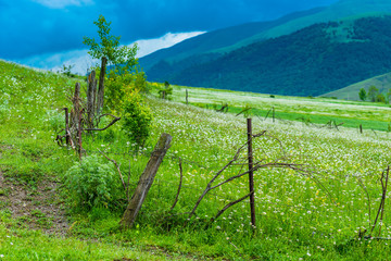 Fototapeta na wymiar Rustic authentic fence in a green field in the Caucasus Mountains on a cloudy day
