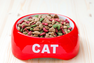 bowl for the cat on the floor is filled with dry food, close-up photo