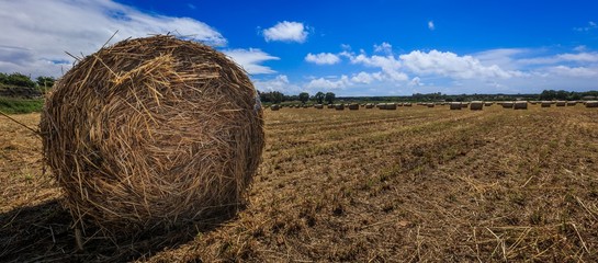 Strohballen auf dem Stoppelfeld - im Allgäu Panoramaaufnahme