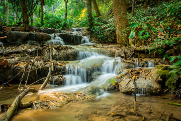 waterfall in the forest