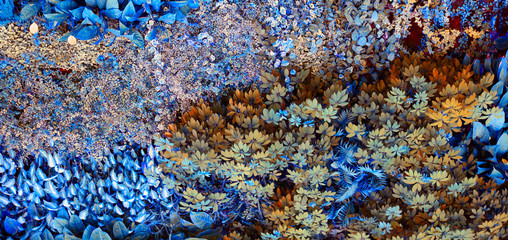 Wall with tropical plants. Climbing plants. Nature  background.