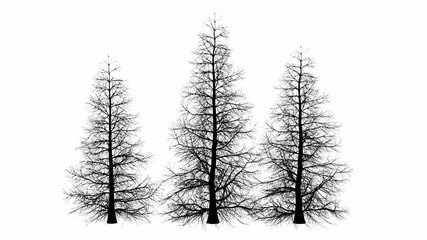 Black tree silhouette illustration in white background