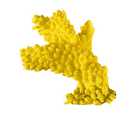 coral isolated on white background © Dmitry