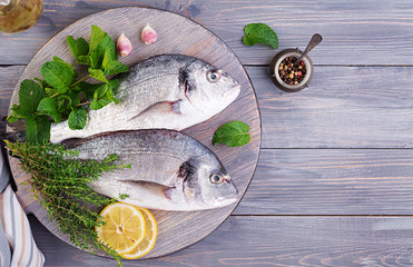 Raw dorado fish with green herbs cooking on cutting board. Top view