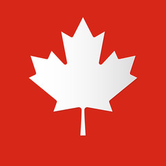 original canadian background with maple leaf vector