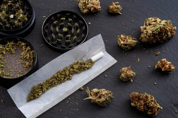 Preparing a joint and drug paraphernalia concept theme with herb girder used to grind cannabis buds and roll marijuana joints, next to rolling paper and weed bud isolated on dark background - obrazy, fototapety, plakaty