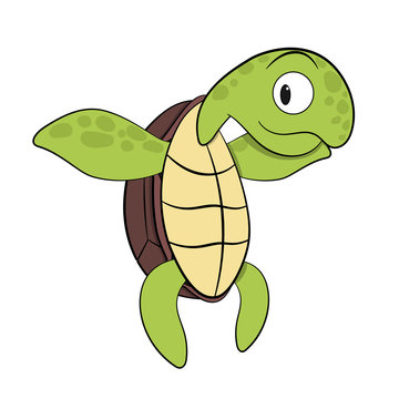 cartoon green sea turtle vector image