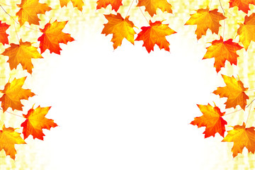 Naklejka na ściany i meble Bright colorful autumn leaves