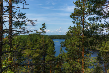 Obraz premium The quiet wild forest and lonely trees on the top of a rocky island in the Linnansaari National Park in Finland - 5