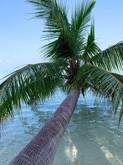 Dominican republic. Cayo Levantado