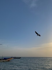 Fishing at dawn. Gambia. West Africa