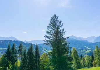 Grüne Landschaft Alpenvorland