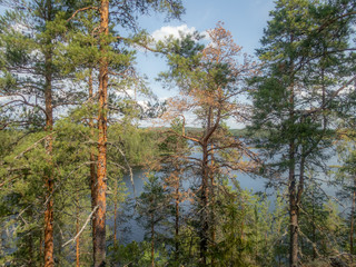 The quiet wild forest and lonely trees on the  top of a rocky island in the Linnansaari National Park in Finland - 12