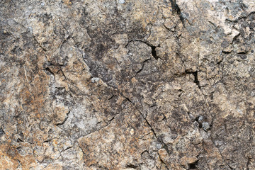 Background image. Natural sandstone texture with cracked pattern