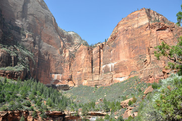 Zion canyon nationalpark in utah americas south west