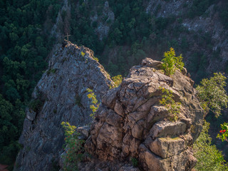 View from the 'Roßtrappe' in the Harz