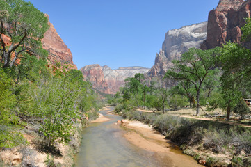 Zion canyon nationalpark in utah americas south west