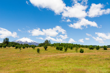 Fototapeta premium The perfect valley on the skirts of the most active volcano in the south Chile