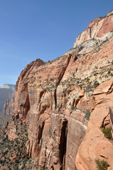 Fototapeta premium Zion canyon nationalpark in utah americas south west