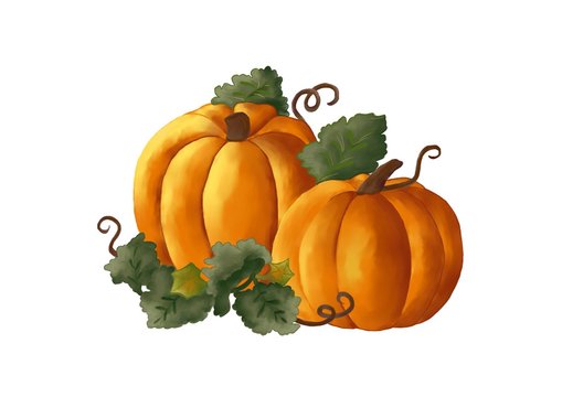 Two yellow pumpkins with green leaves. Digital hand painting, isolate image.