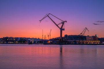 cranes at sunset