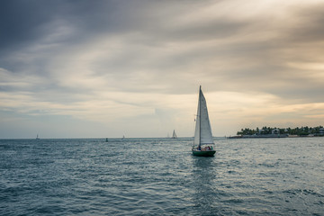 Fototapeta premium Beautiful sunset in Keywest. Miami, Florida