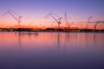 Fototapeta na wymiar cranes at sunset