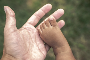 A close up of bare skin chubby leg, foot and toes of a mixed race baby boy infant on his fathers outstretched open hand with palm facing up and blurred bokeh grass in the background.