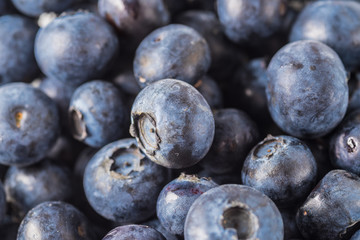 Many red and white berry.Good tasting blueberries with full of healthy vitamins..A good vegan meal. Set of tasty blueberries on white background, closeup.