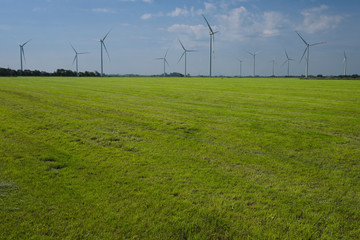 Fototapeta na wymiar Windpark und abgemähte Wiese im Wangerland in Niedersachsen an der Nordseeküste - Stockfoto