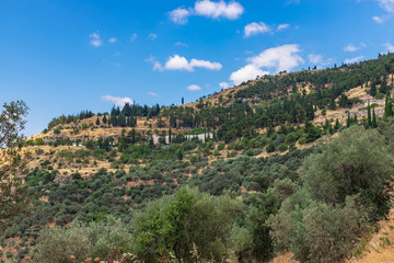 Fototapeta na wymiar Scenic view to mountain landscape with olive trees and building of Delphi museum in Greece