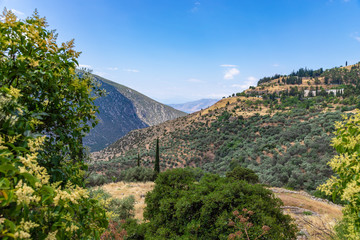 Scenic view to mountain landscape with olive trees in Greece, valley of Phosis and Parnassus mountain near Delphi