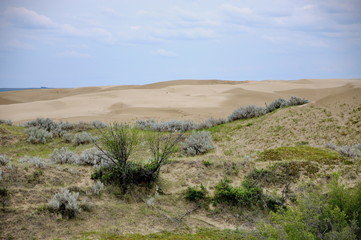 Great Sandhills in southwest Saskatchewan, Canada 