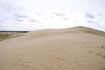 Great Sandhills in southwest Saskatchewan, Canada 