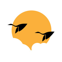 vector illustration of migration birds and the sunset