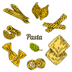 Set of different types of pasta and basil leaf. Color. Engraving style. Vector illustration.