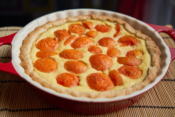 Baked apricot cheese cake or Sour Cream Custard Pie in baking pan. Fresh homemade sweet cake from summer seasonal fruits, raditional in czech republic from home garden harvest. Sweet breakfast.