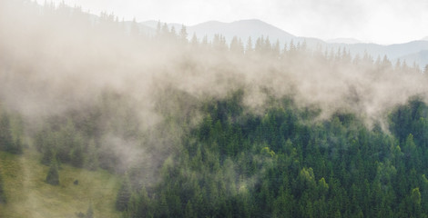 The cloud covers the forest in the mountainous terrain. Worsening weather_